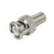 BNC verloopadapter CINCH M/F